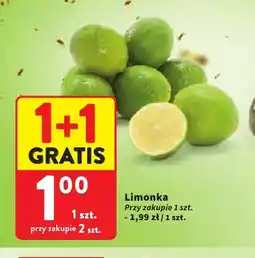 Intermarche Limonka oferta
