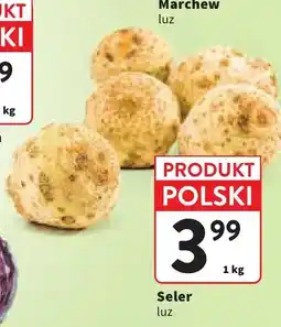 Intermarche Seler oferta