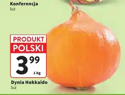 Intermarche Dynia Hokkaido polska oferta