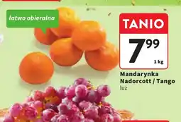 Intermarche Mandarynki Nadorcott oferta