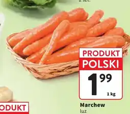 Intermarche Marchew oferta