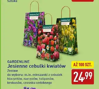 Jesienne cebulki kwiatów Gardenline zestaw