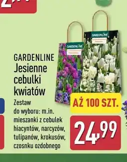 ALDI Jesienne cebulki kwiatów Gardenline oferta