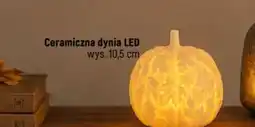 Dealz Ceramiczna dynia led oferta