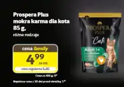 Kakadu Prospera Plus mokra karma dla kota oferta