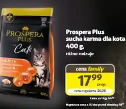 Kakadu Prospera Plus sucha karma dla kota oferta