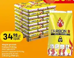Castorama Węgiel groszek Carbon R oferta