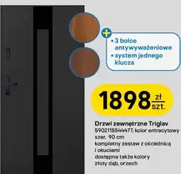 Castorama Drzwi zewnętrzne Triglav oferta