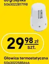 Castorama Głowica termostatyczna oferta