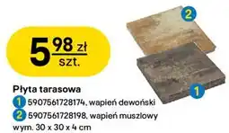Castorama Płyta tarasowa oferta