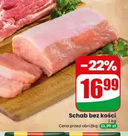 Dino Schab bez kości oferta
