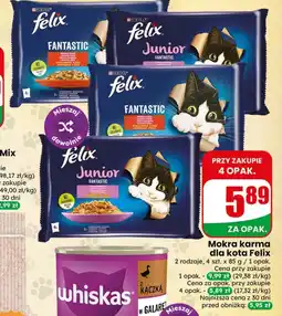 Dino Mokra karma dla kota Felix oferta