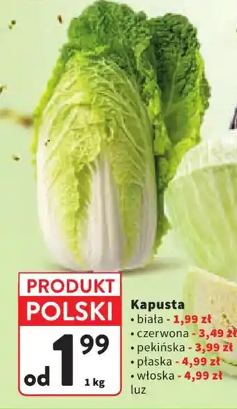 Intermarche Kapusta oferta