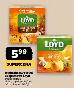 Netto Herbatka owocowa ekspresowa Loyd oferta