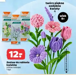 Netto Zestaw do robienia kwiatów oferta