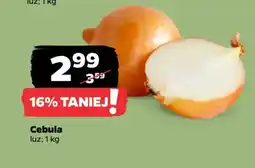 Netto Cebula oferta