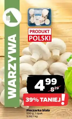 Netto Pieczarka biała oferta