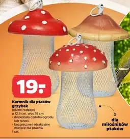 Netto Karmnik dla ptaków grzybek oferta