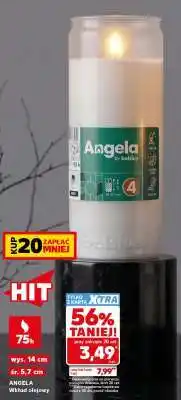 Kaufland ANGELA Wkład olejowy oferta