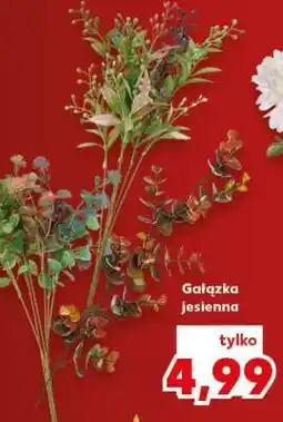 Kaufland Gałązka jesienna oferta
