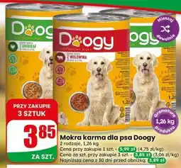 Dino Mokra karma dla psa Doogy oferta