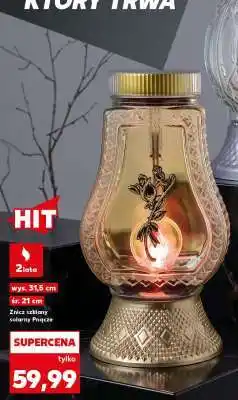 Kaufland Znicz szklany solarny Pnącze oferta