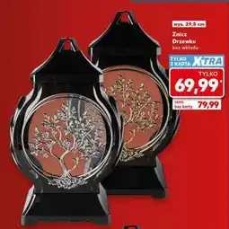 Kaufland Znicz Drzewko oferta