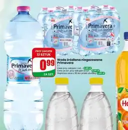 Dino Woda źródlana niegazowana Primavera oferta
