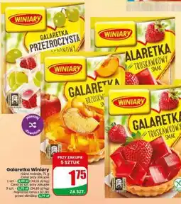 Dino Galaretka WINIARY oferta