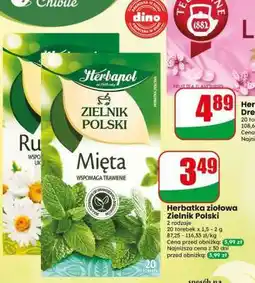 Dino Herbatka ziołowa Zielnik Polski oferta