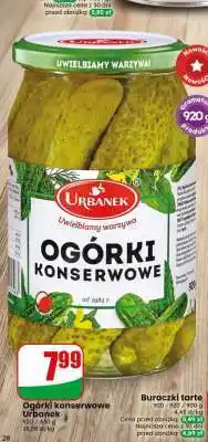 Dino Ogórki konserwowe oferta