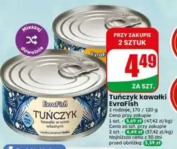 Dino Tuńczyk kawałki EvraFish oferta
