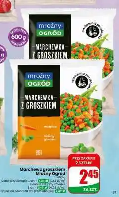 Dino Marchew z groszkiem Mroźny Ogrod oferta