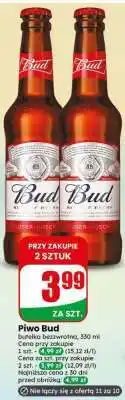 Dino Piwo BUD oferta