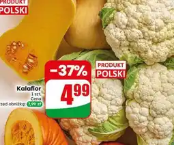 Dino Kalafior oferta