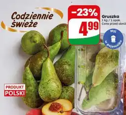 Dino Gruszka oferta