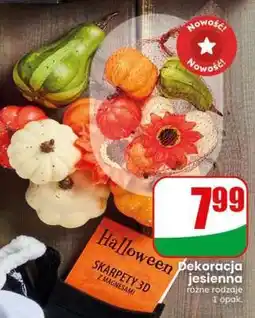 Dino Dekoracja jesienna oferta