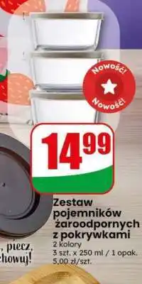 Dino Zestaw pojemników żaroodpornych z pokrywkami oferta