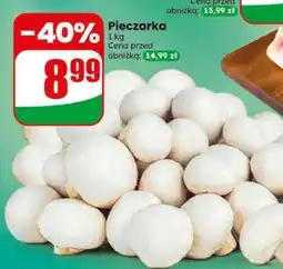 Dino Pieczarka oferta