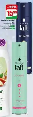 Dino Lakier do włosów TAFT oferta