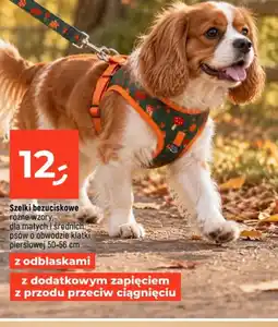 Dealz Szelki bezuciskowe oferta