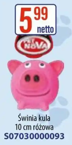 AT Pet Nova Świnią kula oferta