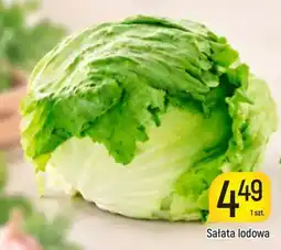 Delikatesy Piotruś Pan Sałata lodowa oferta