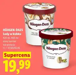 Lidl Häagen-Dazs Lody w kubku oferta
