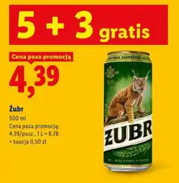Lidl Żubr oferta