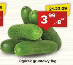 Spiżarnia Smakosza Ogórek gruntowy oferta