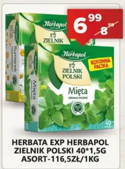 Spiżarnia Smakosza Herbata EXP Herbapol Zielnik Polski Mięta oferta