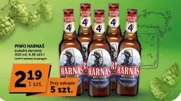 Groszek Piwo Harnas oferta