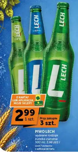 Groszek Piwo Lech oferta