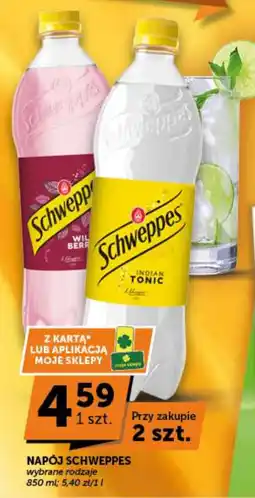 Groszek Napój Schweppes oferta